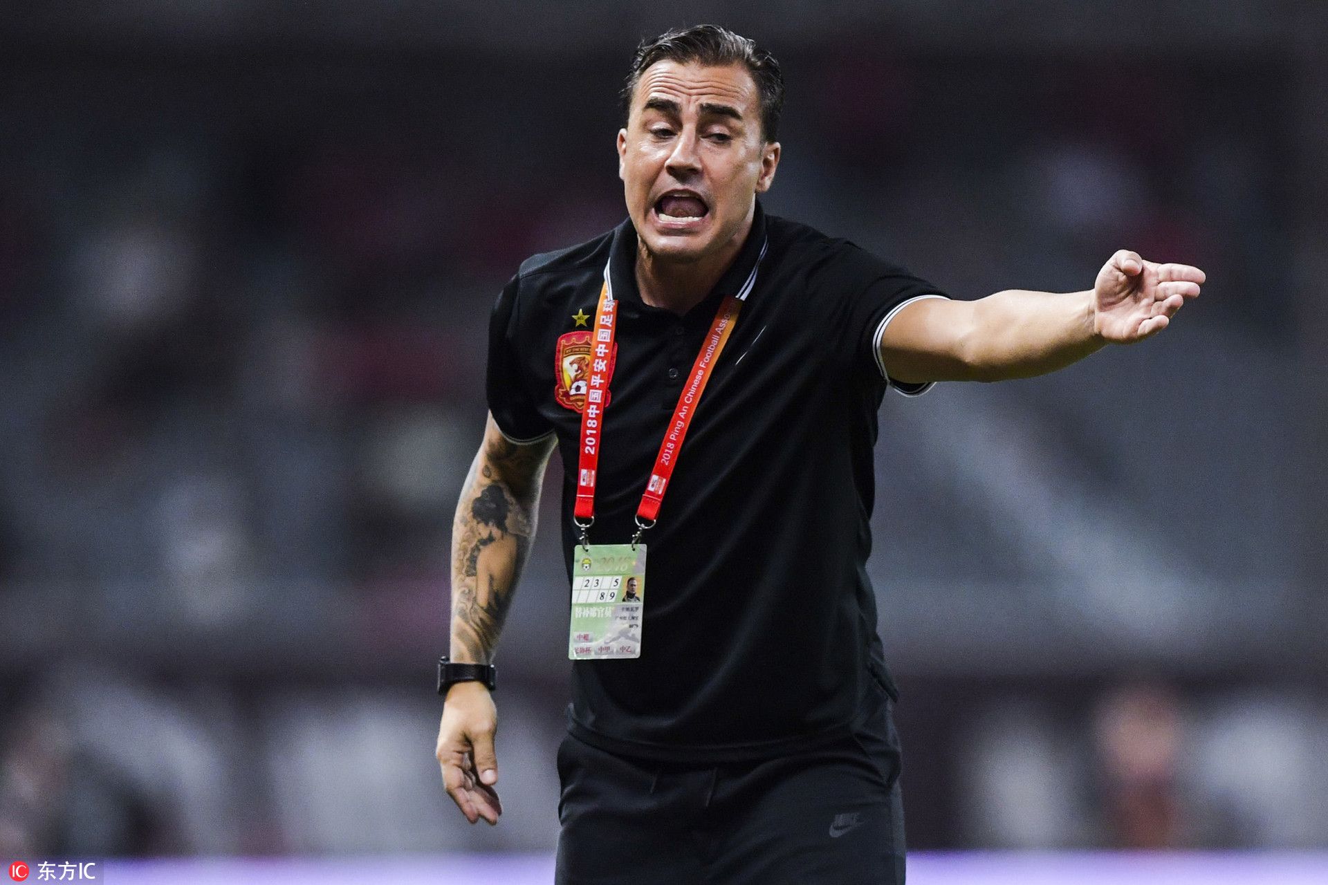 关于今夜足总杯传出新动向，浙江队完成体检，管理层表态——悬念犹存，年轻球员得到机会的信息